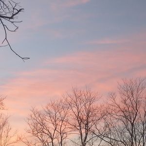 Meet your Posher, Karrlee